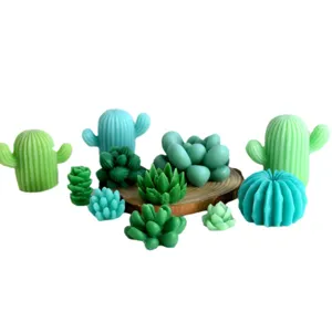 Mini succulent and cactus scented candles silicone molds DIY soap making craft kits.