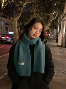 Winter thick warm knit scarf solid color casual fashion cozy neck wrap for women and men.