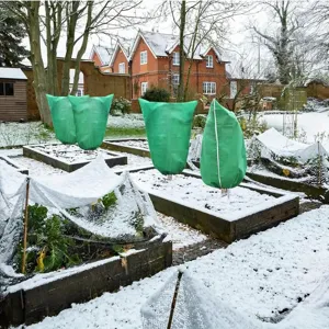Outdoor green plant frost cover scene in snowy garden, nonwoven winter frost protection.