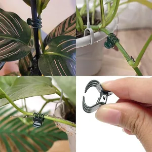 Clips de plástico verde para plantas, flores trepadoras y soporte de verduras en jardín.