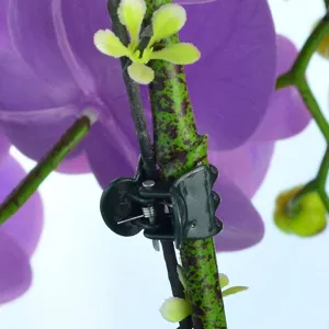 Primer plano de un clip de fijación de plástico verde oscuro para plantas en el tallo.