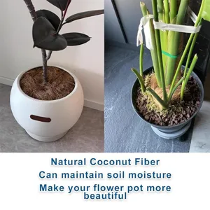 Natural coconut fiber pot cover mulch for plants, keeps soil moisture and decorates pots.
