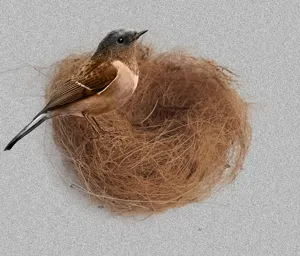 Natural coir bird nest coconut fiber mat for pet bedding potted plant flowerpot decor.