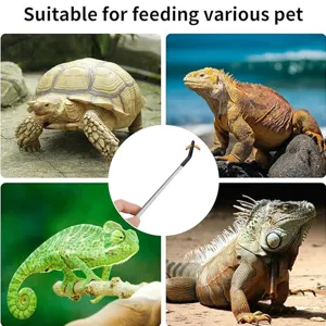 Stainless steel reptile feeding tweezers tong for turtles and lizards daily feeding tool.