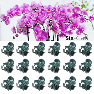 Clips de plantes de jardin pour soutenir les orchidées et plantes grimpantes, pinces vertes.