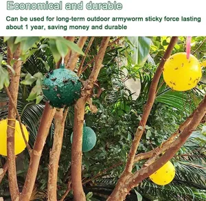 Trappola adesiva per moscerini della frutta verde e gialla, cattura insetti per alberi da frutto.