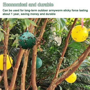 Trappole adesive per insetti da giardino acchiappa mosche della frutta sfere verdi e gialle