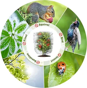 Copertura per piante rete da giardino coulisse protezione contro uccelli insetti gelo