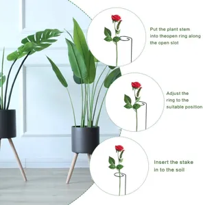 Plant support stake detail showing installation steps for potted flowers and climbing plants.