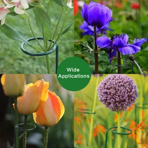 Detail view of metal plant support stakes, ring design for garden flowers and climbing plants.