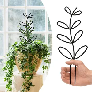 Detail van zwarte metalen plantensteun, ideaal voor klimplanten en potplanten.