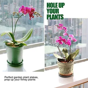 Plant support stakes iron spiral climbing flower rack for potted plants garden support tools