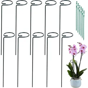 Black metal plant support stakes set, garden ring stakes for climbing potted flowers and plants.