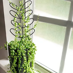 Metalem plantensteun klimrek voor potplanten klimmende planten tuindecoratie zwart