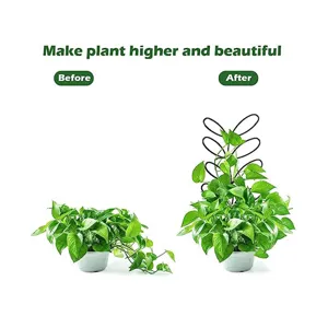 Stevige plantensteun voor potplanten, metalen klimrek voor klimplanten en bloemen tuin