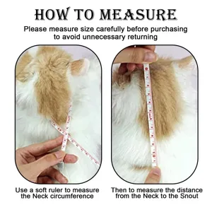 Pet collar measurement guide detail showing how to measure neck size and snout distance.
