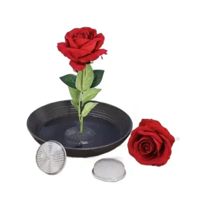 Transparante plastic bloemkikker arrangement basis set met een zwarte kom en rode roos.