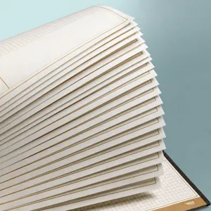 Bloc de notas de cuadrícula arrancable Maillard B5 cuaderno borrador escolar 20 hojas