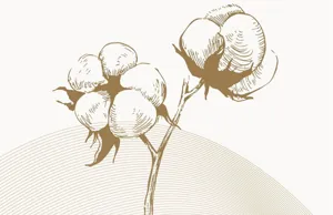 French jacquard cotton linen bedding detail graphic featuring elegant cotton branch sketch design.