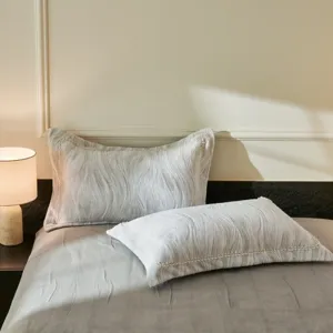 Σετ κλινοσκεπασμάτων από βελούδο πολυτελές ζεστό μαξιλαροθήκες από βελούδο γάλακτος κύρια