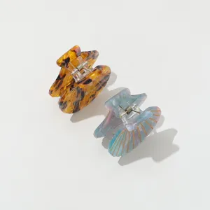 Acetaat haarclip set in schelp ontwerp, stijlvolle haarklemmen voor dagelijkse styling.