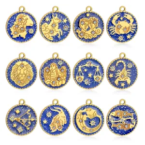 Set di 12 ciondoli zodiacali in acciaio inossidabile smalto blu e strass per gioielli.