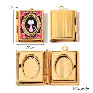 Goldener Edelstahl Oeffnbarer Buch Foto Medaillon Katzen Anhaenger DIY Schmuck