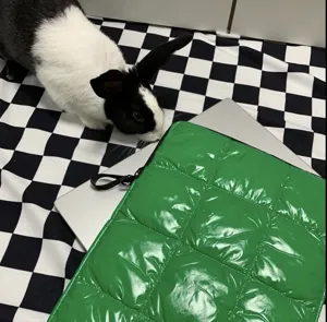 Custodia per laptop trapuntata verde borsa imbottita per computer da 13 15 pollici