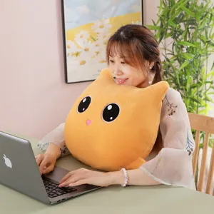 Cute cat plush pillow, soft kitten cushion and stuffed animal toy for sofa decor and home.