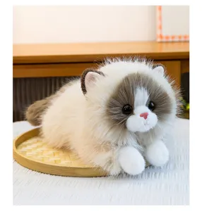 Cute plush ragdoll cat toy detail showing soft white and brown fur texture and lovely face.