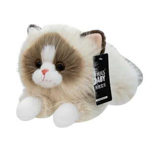 Cute ragdoll cat plush toy simulation kitten soft stuffed doll companion gift for kids