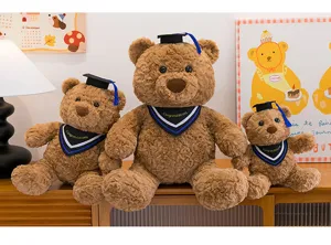 Abschluss Teddybär Plüschtier Set süße ausgestopfte Doktor Bär Puppe Erinnerungsgeschenk.