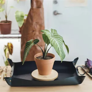 Waterproof thickened leather gardening mat detail showing potted plant setup on table.