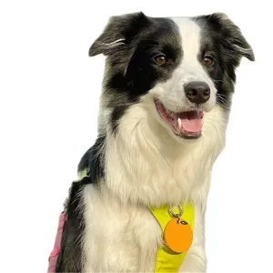 Leather pet ID tag with orange fruit design for dogs and cats, anti-loss collar pendant accessory.