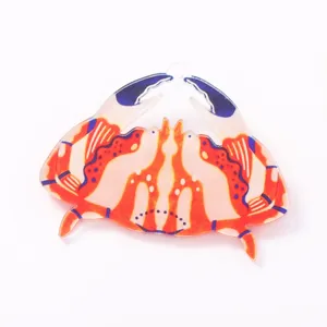 Acrylic crab brooch pin cute animal fashion jewelry detail close up women cute accessories