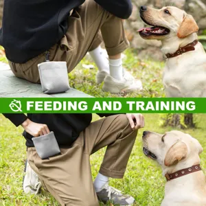 Sac de friandises pour chien en cuir PU portable, pochette d'entraînement imperméable avec clip.