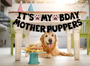 Cute Pet Dog Birthday Banner Letter Garland Party Decoration Supplies For Puppy Party