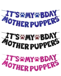 Pet dog birthday party banner detail, glitter letter flags close up, multiple colors.