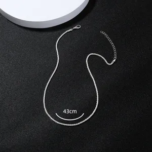 Collana con catena scintillante argento vista dettagliata che mostra lunghezza e maglie.