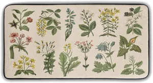 Vintage botanical print kitchen floor mat, absorbent long anti-slip rug for home entry door.