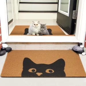 Cute Cat Print Crystal Velvet Door Mat Anti Slip Dirt Resistant Floor Mat For Hallway Bedroom