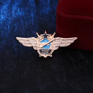 Detailed shot of vintage metal wings brooch pin with shield star sword and good luck text.