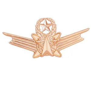 Roségold Stern Flügel Brosche Militär Uniform Abzeichen Herren Jacke Metall Pin Mantel