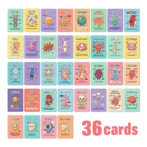 Educational human anatomy flashcards featuring cute organ illustrations, 36 cards for kids learning.