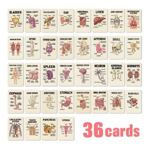 Detailed human anatomy educational flashcards set featuring 36 organ and cell design cards.