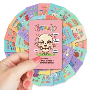 Cute human anatomy and organ educational flash cards for kids learning, colorful biology cards.