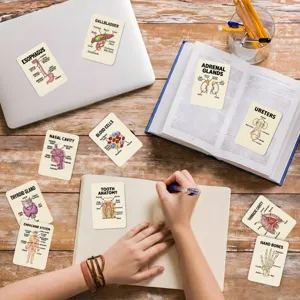 Educational human anatomy flashcards set, detailed organ and cell learning cards for kids.