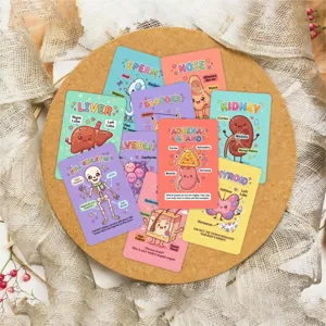 Cute human anatomy educational flashcards set detailing organs, bones, and cells for kids.