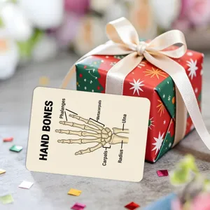 Educational hand bone anatomy learning cards for kids, fun gift box packing for school study.