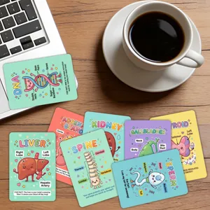 Cute anatomical organ educational cards set, science learning flashcards for kids children